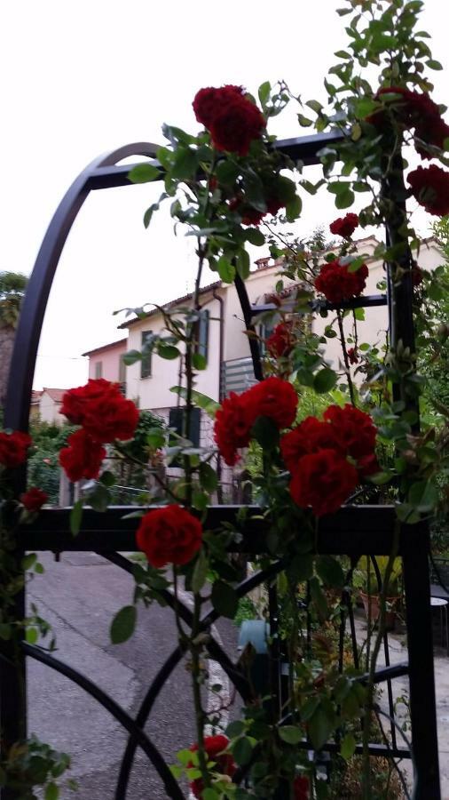Bed and Breakfast BBOderzo Exterior foto